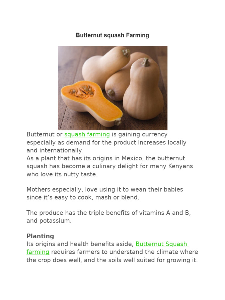 Butternut Farming | PDF | Cucurbita | Pollination