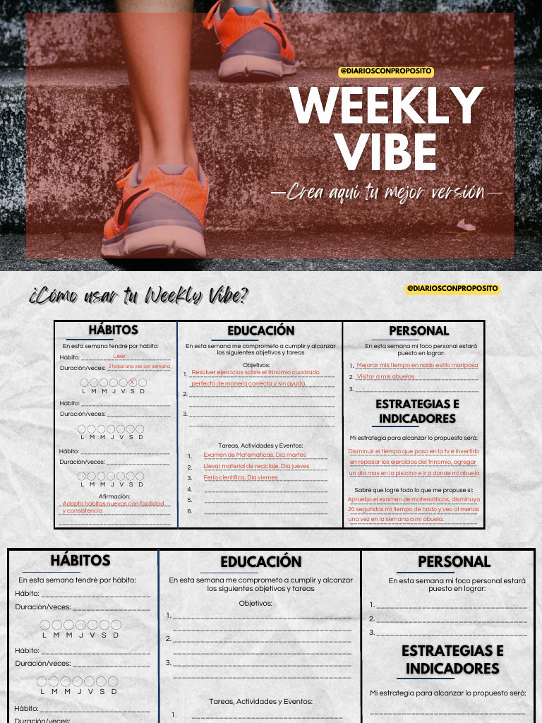 Weekly Vibe. Diario Para Jovenes | PDF