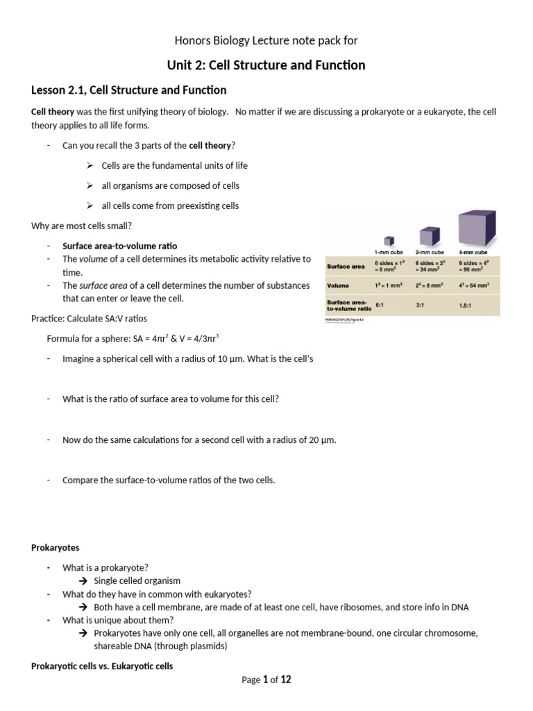 Unit 2 lecture notes Honors Bio | PDF | Endoplasmic Reticulum | Cell ...