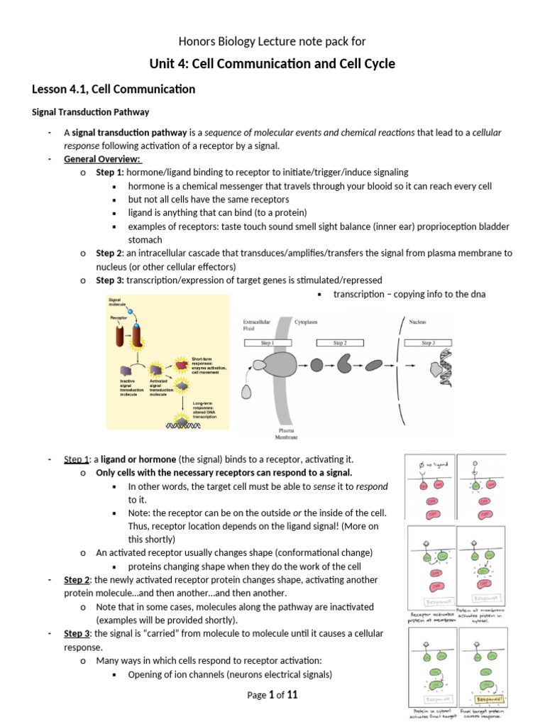 Cell Communication & Signal Transduction | PDF | Mitosis | Cell Signaling