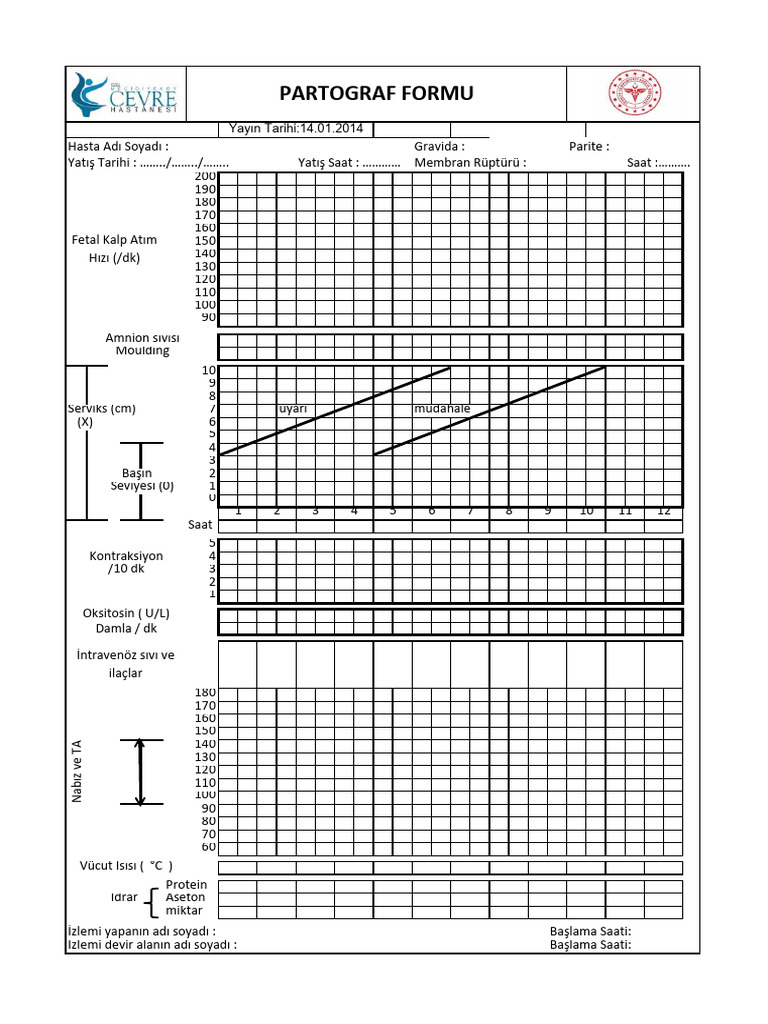 Dhfr01 Partograf Formu Rev01pdf 20231227105431 | PDF
