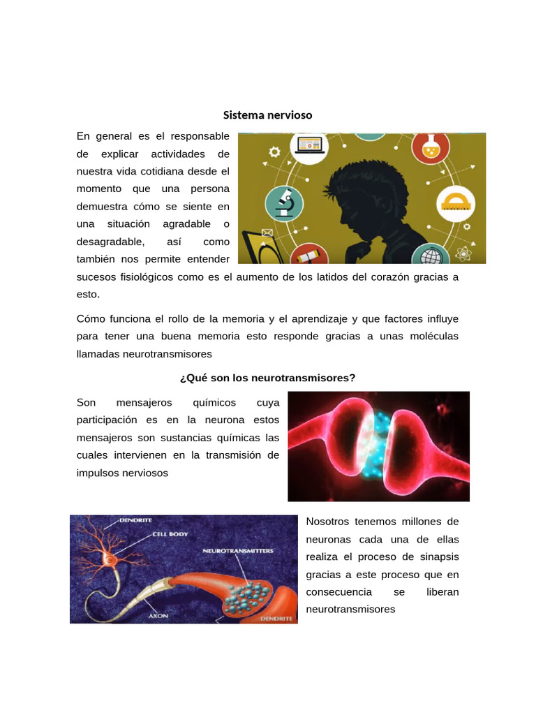 Neuro Transm I Sores | PDF | Neurona | Neurotransmisor