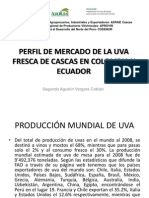 Presentación_PERFIL_MERCADO