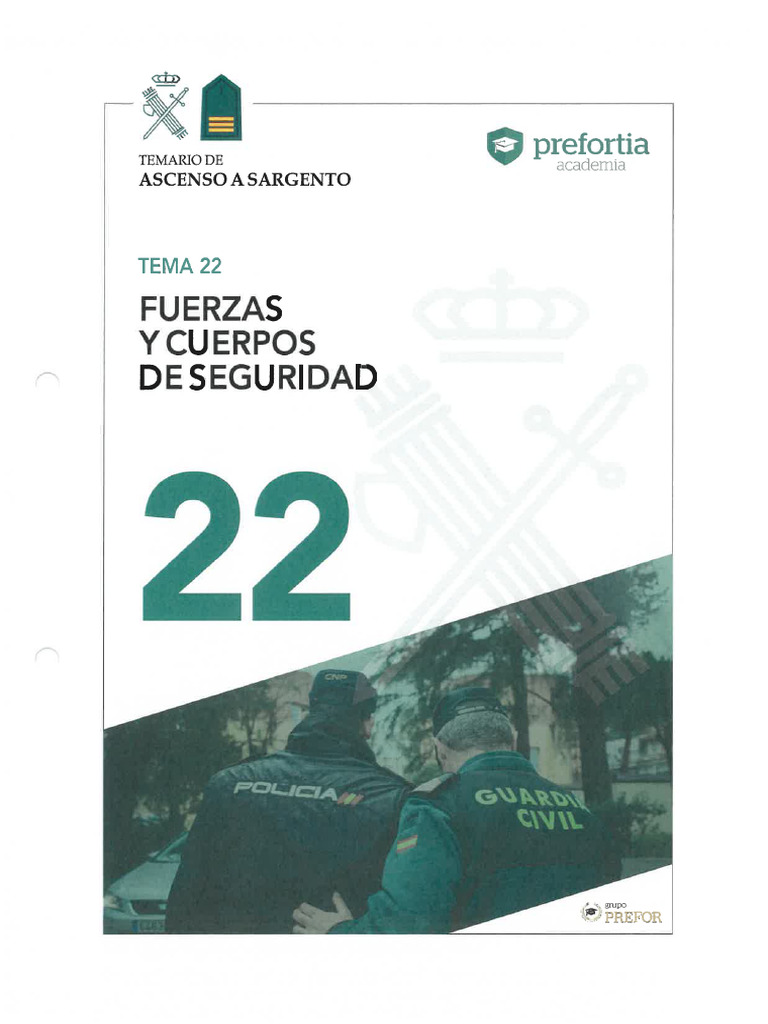 Tema 22 Fuerzas y Cuerpos de Seguridad | PDF
