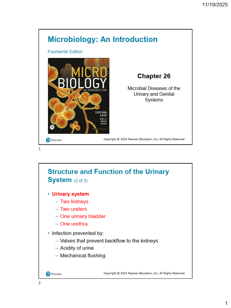 Urinary and Genital Microbial Diseases | PDF | Urinary Tract Infection ...