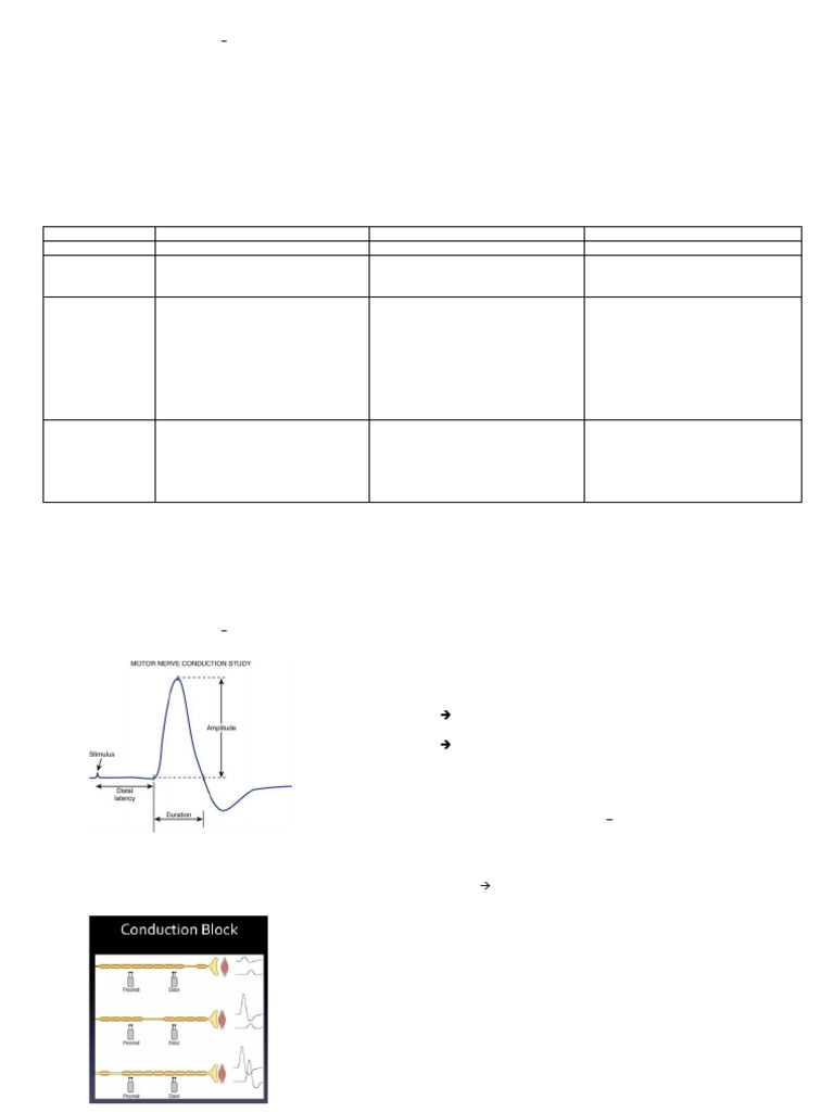 Basic Emg KHST | PDF