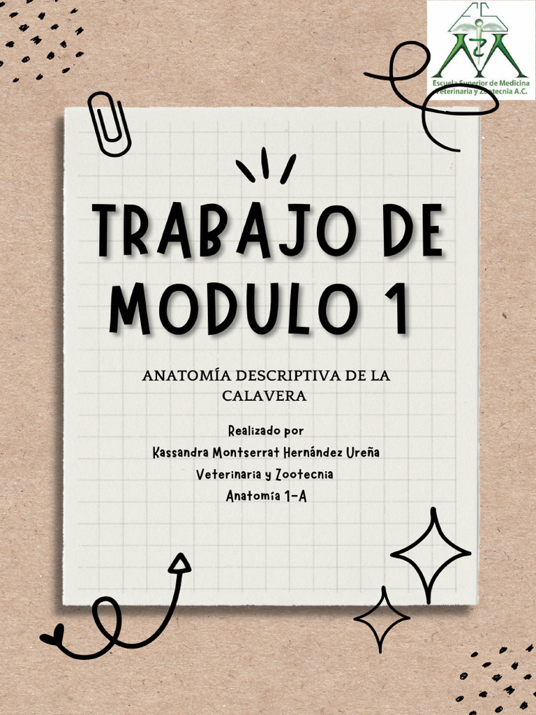Trabajo de Modulo 1 | PDF
