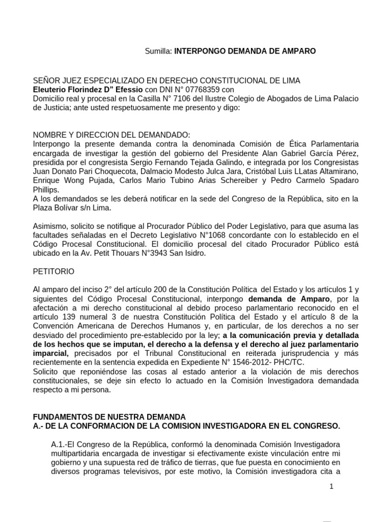 Demanda de Amparo contra Comisión de Ética | PDF | El proceso de ...