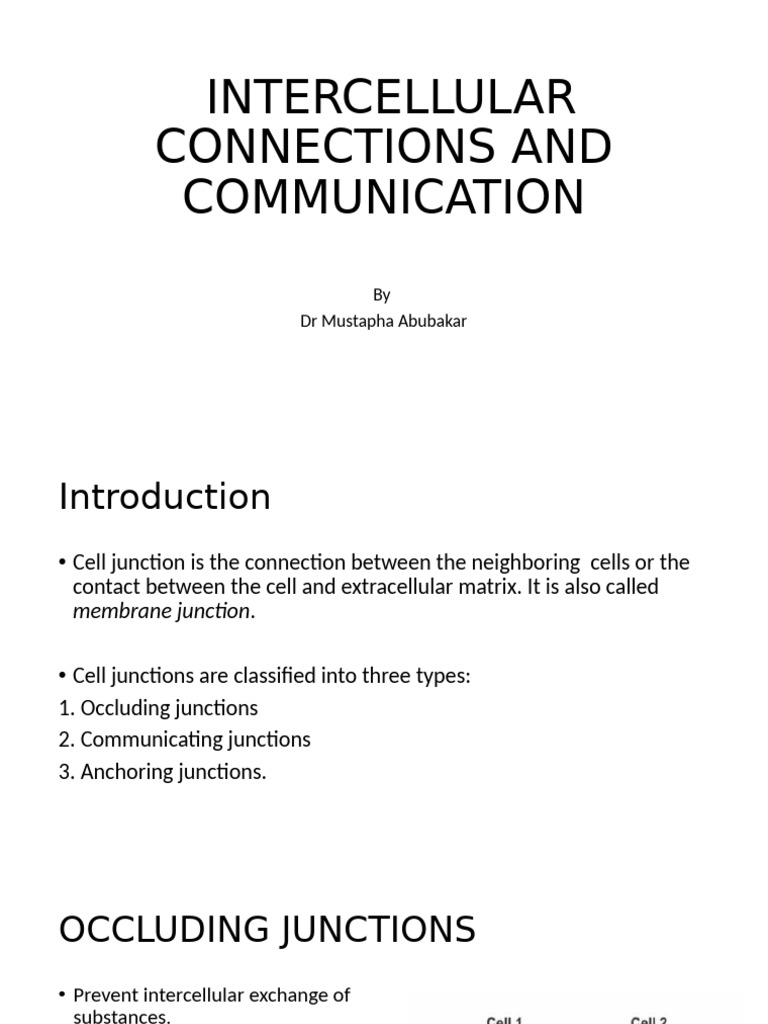 Types of Cell Junctions Explained | PDF
