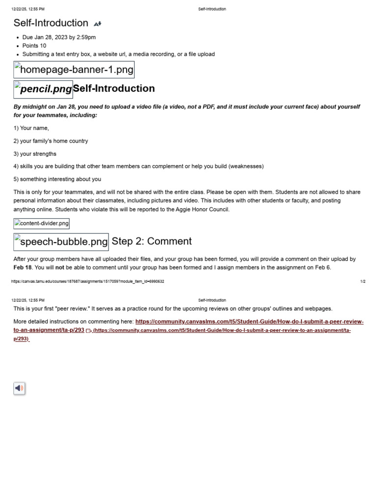 Self Introduction Instructions | PDF