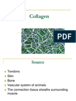 Collagen