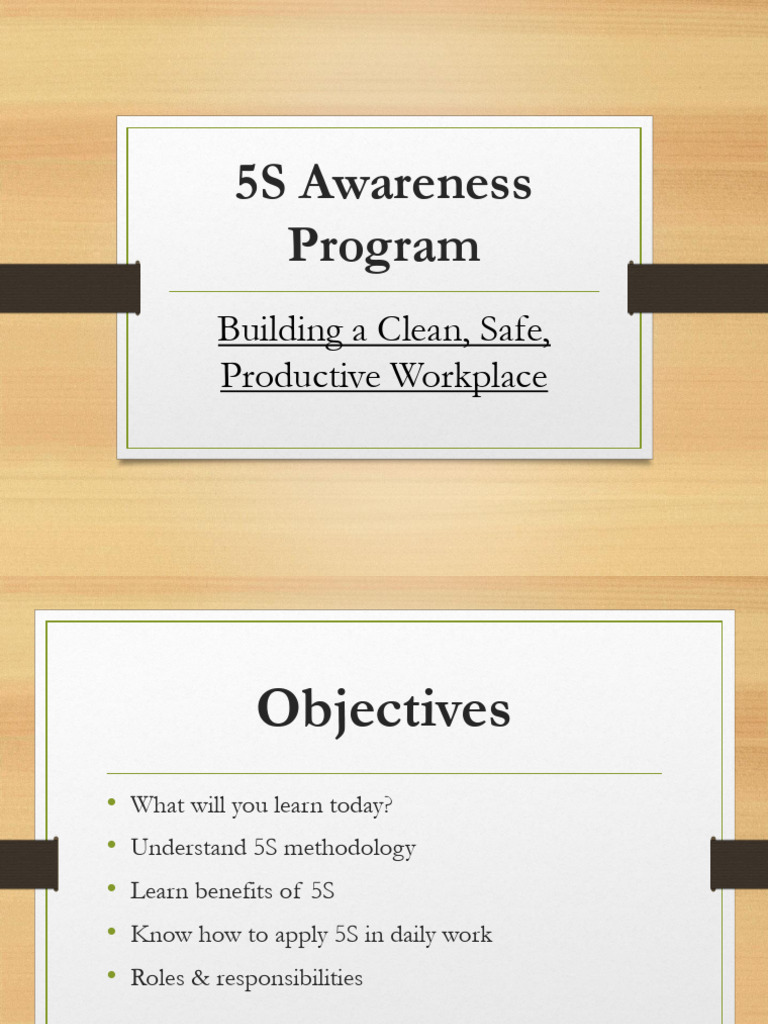 5S Workplace Organization Training Guide | PDF