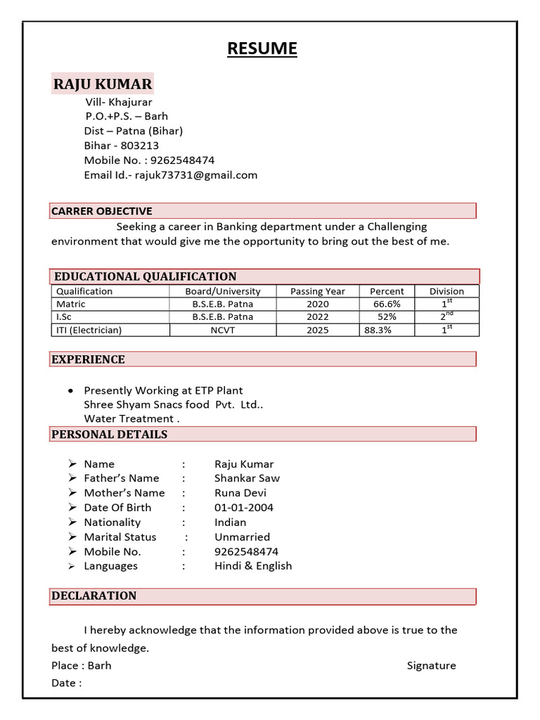 Raju Kumar Resume for Banking Career | PDF