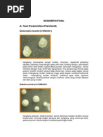 Download DESKRIPSI FOSIL by Ria Fitriany SN97057809 doc pdf