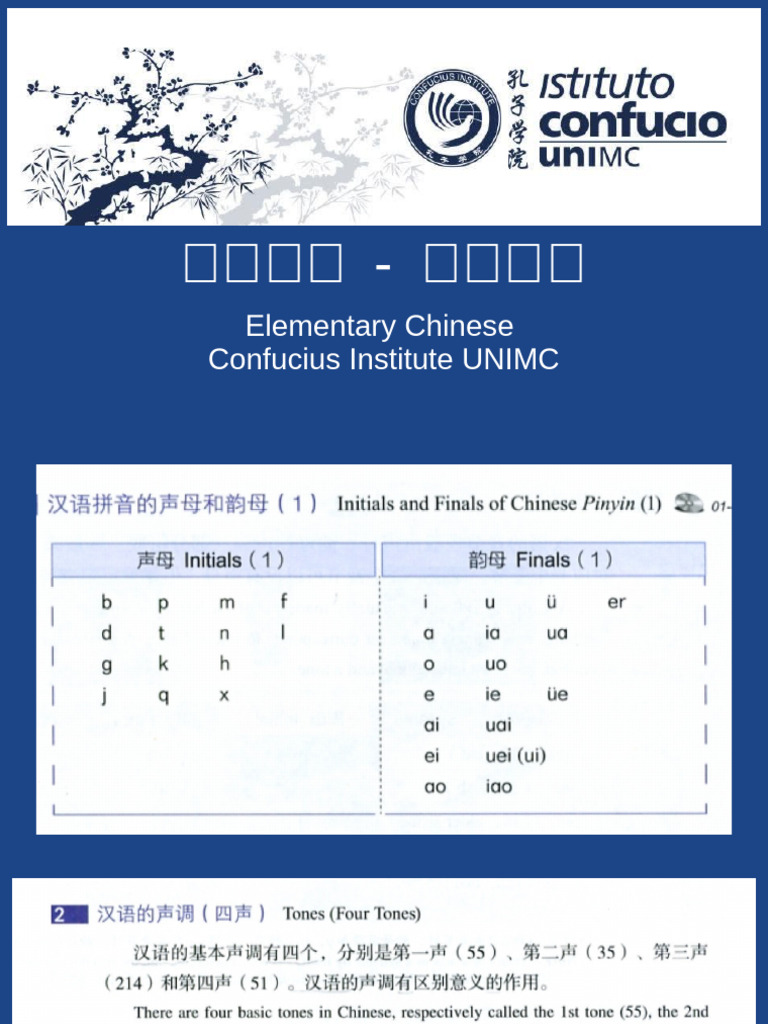 Basic Chinese Sentence Structure Guide | PDF