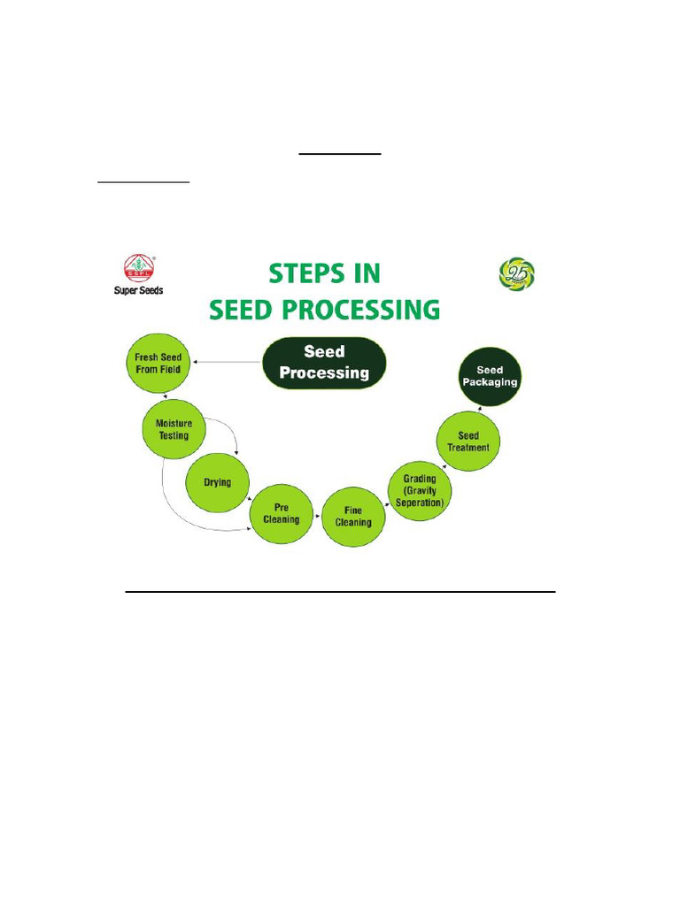 Seed Processing Steps in Agriculture Engineering | PDF | Cottonseed | Rice