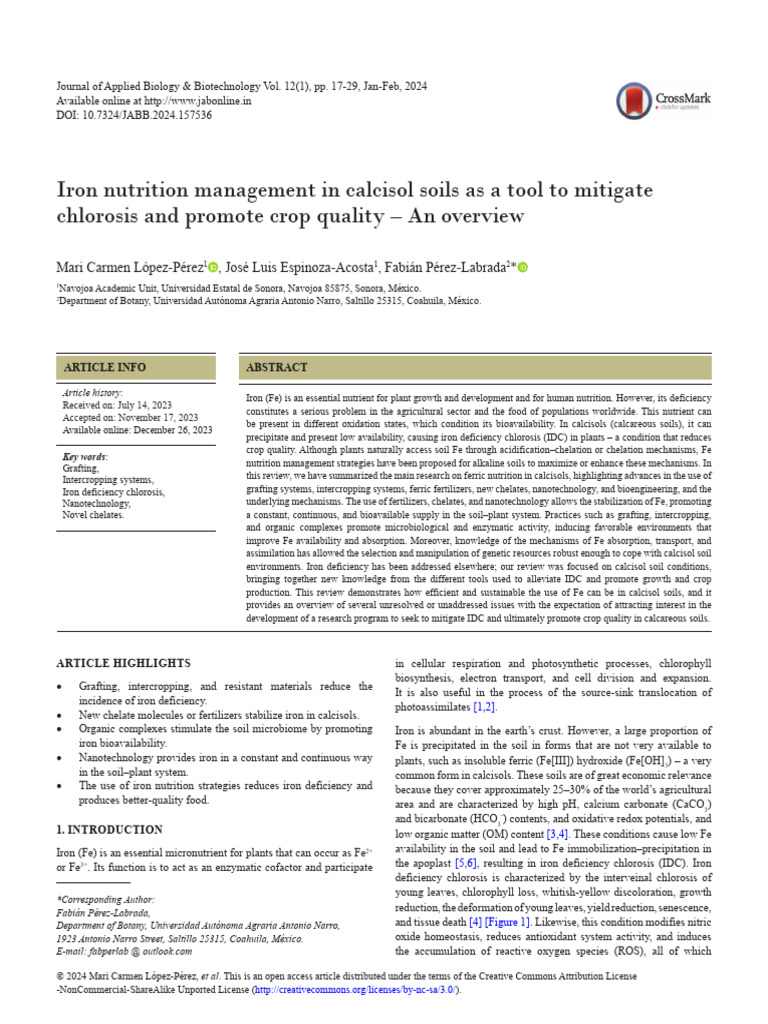 Iron Nutrition in Calcisol Soils: Strategies | PDF | Soil | Iron