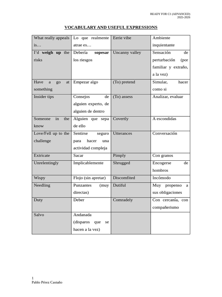 Vocabulary and Useful Expressions | PDF