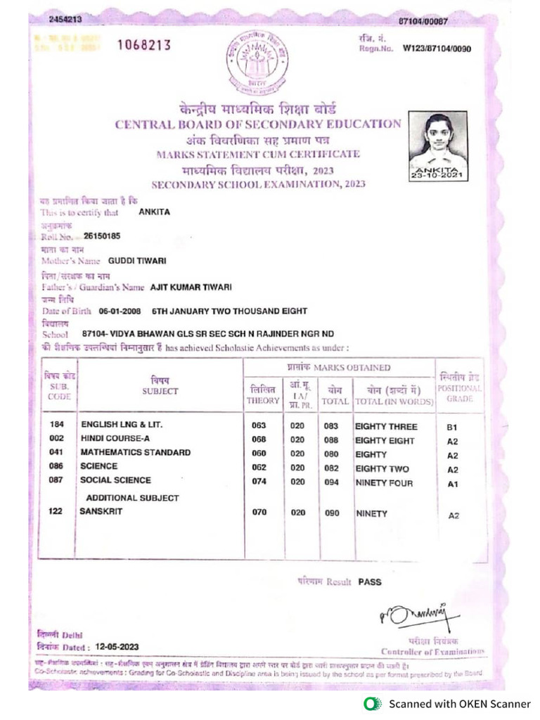 Class 10 Marksheet | PDF