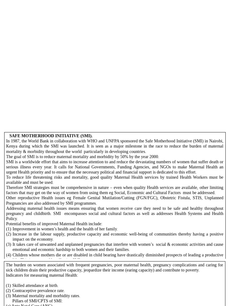 Safe Motherhood Initiative | PDF | Maternal Death | Maternal Health