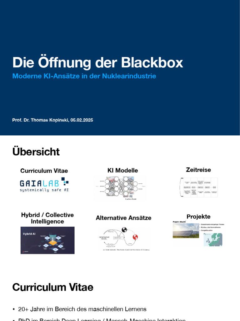 Die Ö Nung Der Blackbox - Moderne KI-Ansätze in Der Nuklearindustrie | PDF
