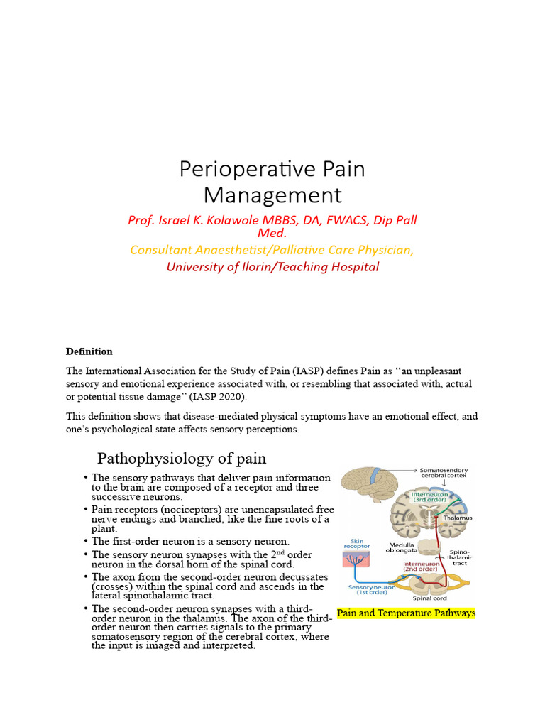 Perioperative Pain Management | PDF | Analgesic | Pain