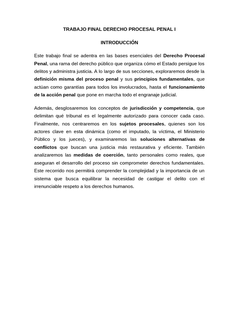 Fundamentos del Derecho Procesal Penal | PDF | Derecho penal | Ley procesal