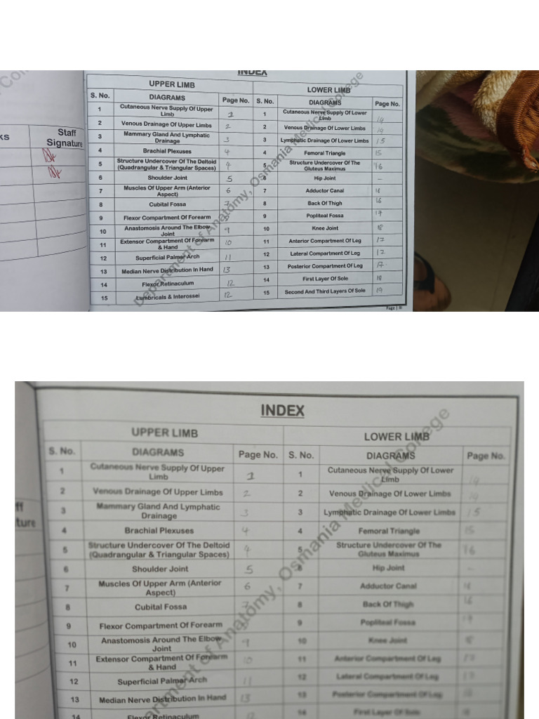Gross Anatomy Upper and Lower Limb Diagrams | PDF