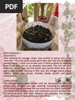 Step-by-Step Guide to Growing Monggo | PDF