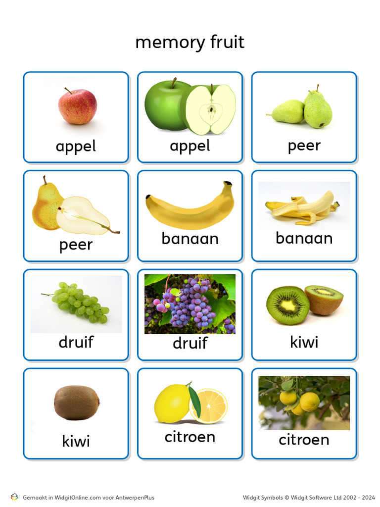 Memory Fruit | PDF