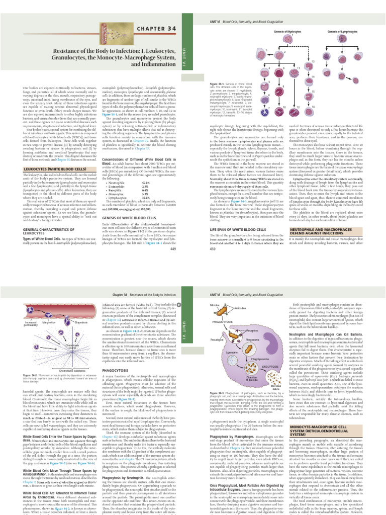 Understanding White Blood Cells and Immunity | PDF | White Blood Cell ...
