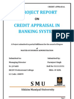 A Project Report On Credit Appraisal