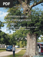 Common Sense Risk Management of Trees National Tree Safety Group