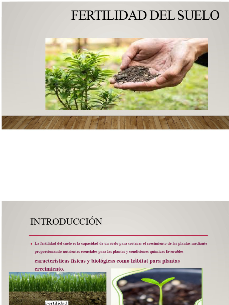 Aumentar la Fertilidad del Suelo | PDF