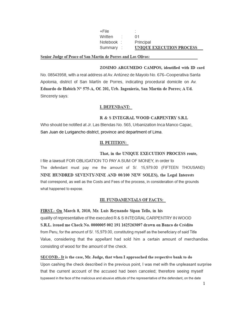 Single Execution Process Demand | PDF | Lawsuit | Public Law