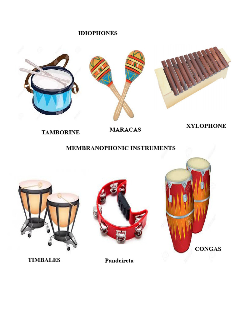 Types of Musical Instruments Explained | PDF