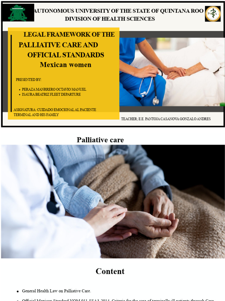 Legal Framework For Palliative Care | PDF | Terminal Illness ...