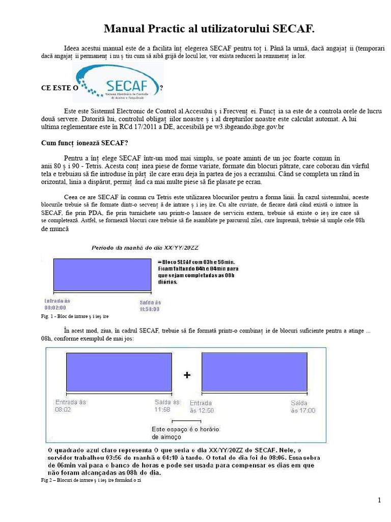 Manualul Practic Al SECAF | PDF