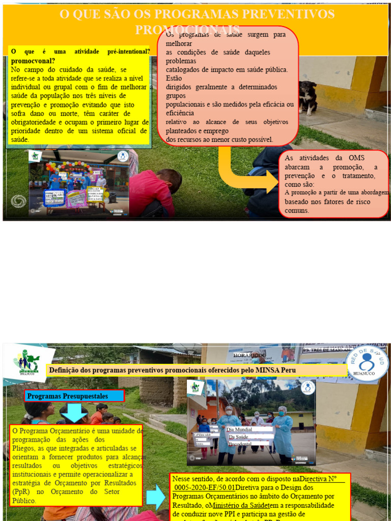 Programas Preventivos em Saúde Pública | PDF | Orçamento | Despesa