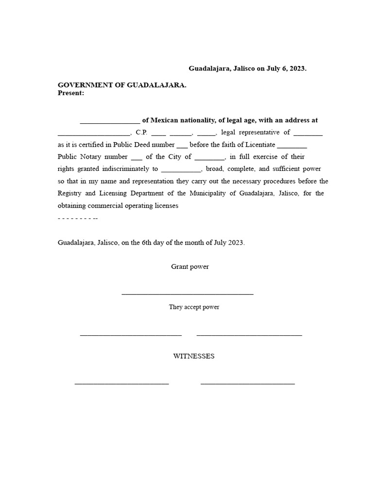 Power of Attorney for Business Licenses | PDF
