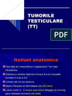Tumorile Testiculare 2012