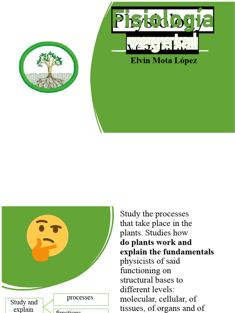 Plant Biology: Structure and Functions | PDF | Plants | Flowers