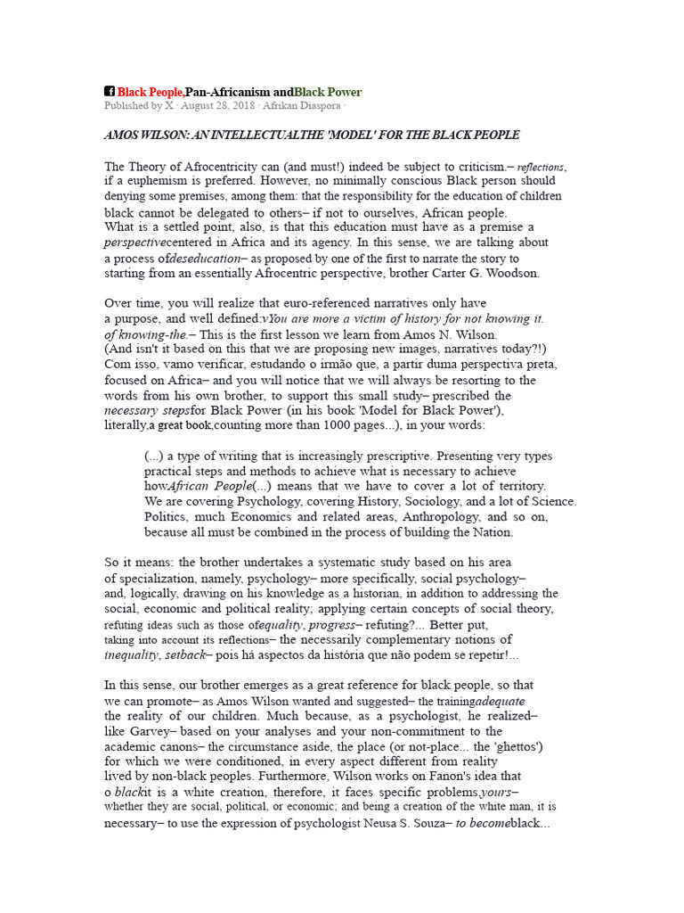 Amos Wilson's Afrocentric Education Insights | PDF | Black Power ...