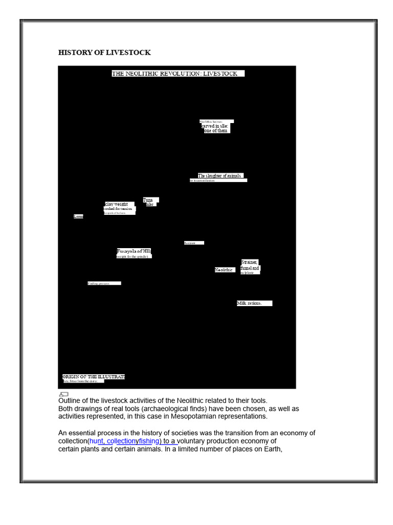 Neolithic Livestock Farming Evolution | PDF | Sheep | Livestock
