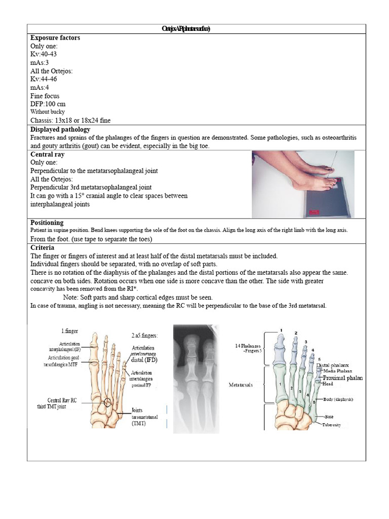 X-ray Protocols for Foot and Toe Imaging | PDF | Pelvis | Foot