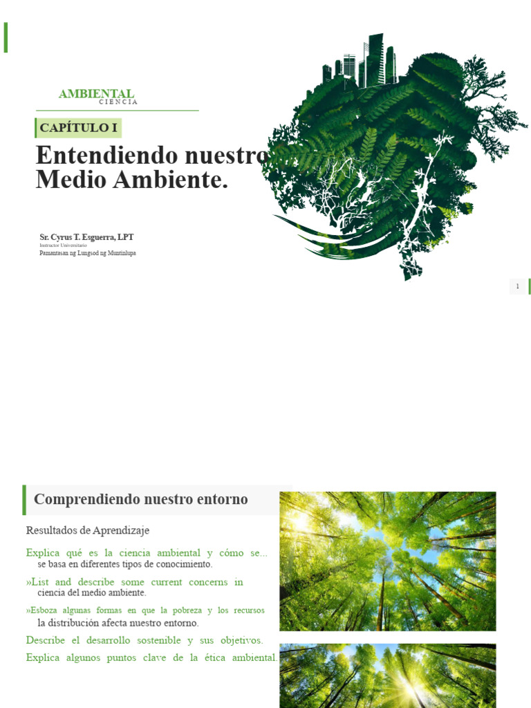CAPÍTULO 1 - Entendiendo Nuestro Entorno | PDF | Sustentabilidad ...