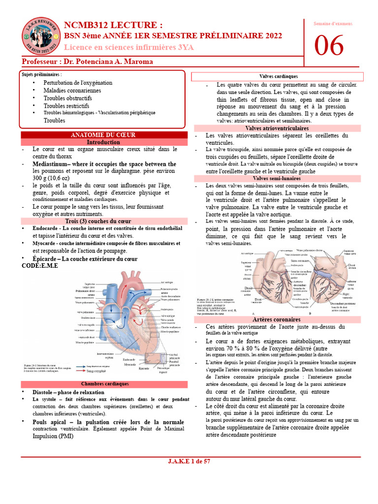 Anatomie et Fonction du Cœur en BSN | PDF | Atrium (anatomie ...