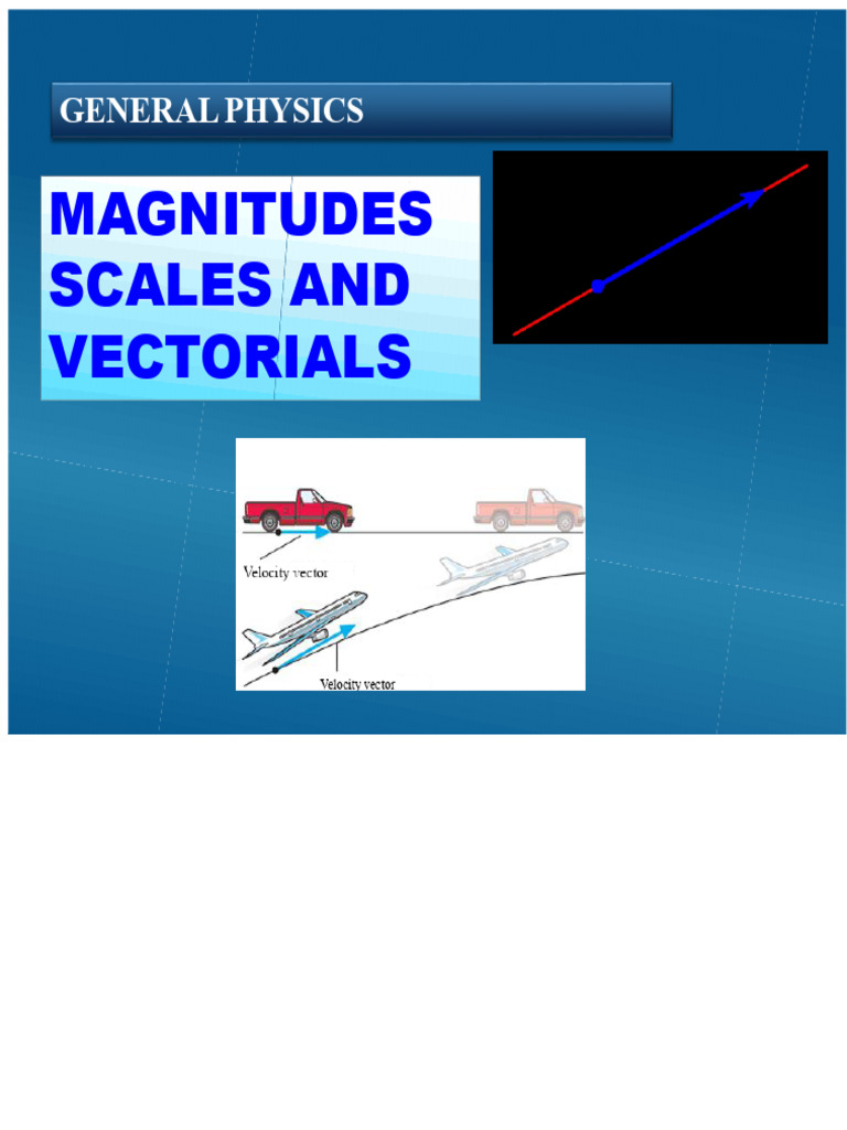 Understanding Scalars and Vectors in Physics | PDF | Euclidean Vector ...