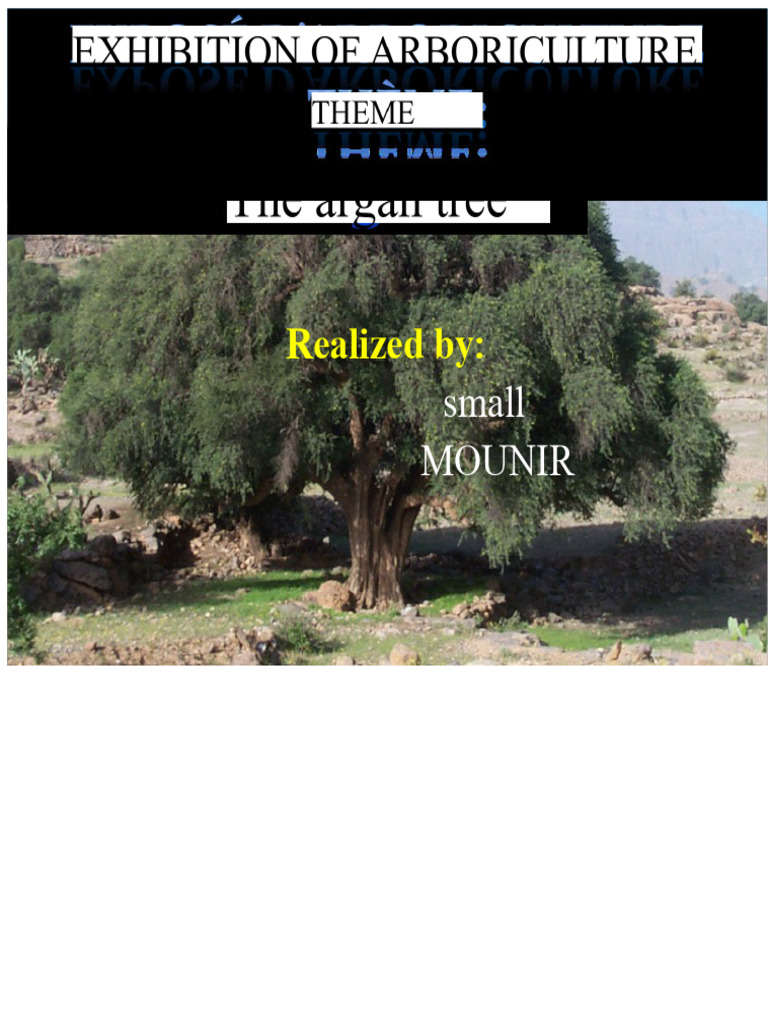 Argan Tree: Ecology, Uses, and Benefits | PDF | Trees | Seed
