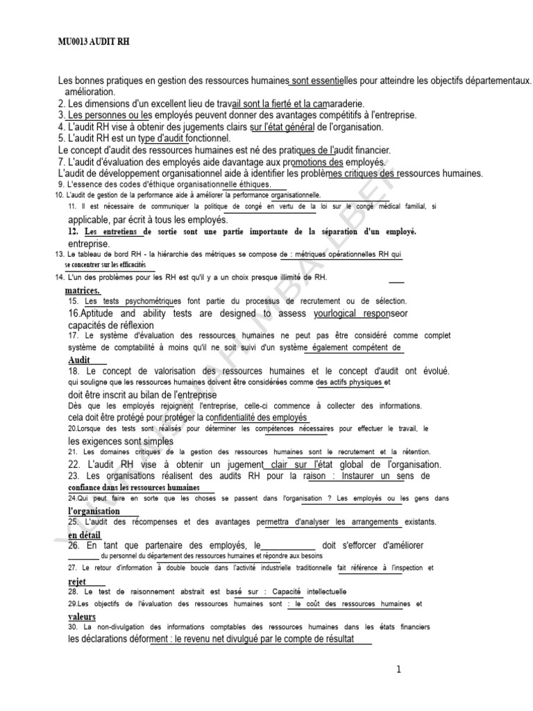 Audit RH : Bonnes pratiques et enjeux | PDF | Gestion des ressources ...